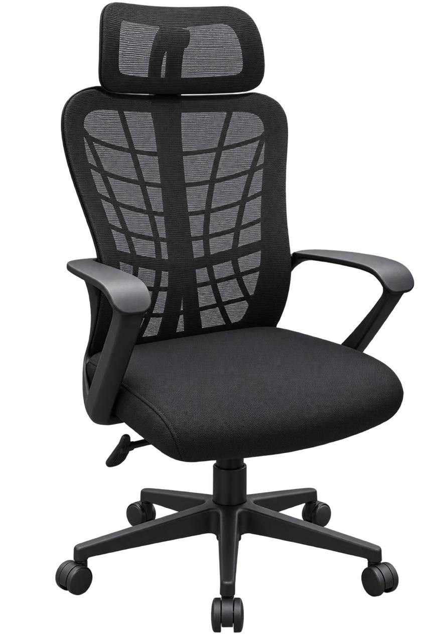 Executive Office Chair 2