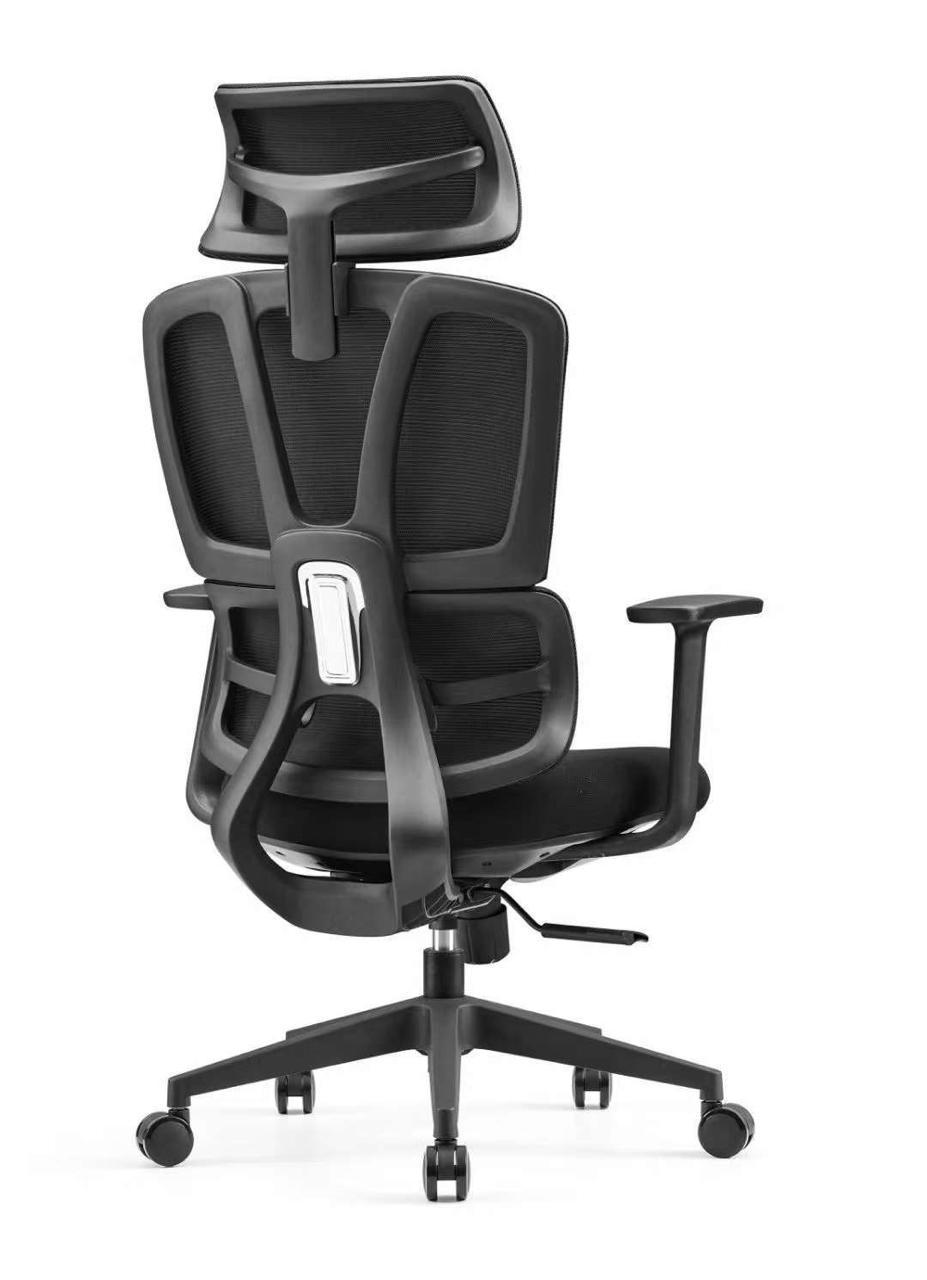 Office Chaie